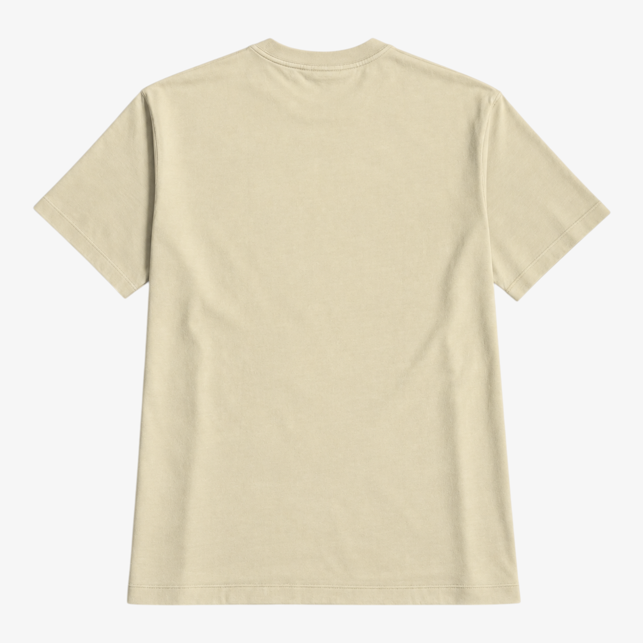 STF Dreamscape T-shirt met print — Crème Secundaire afbeelding