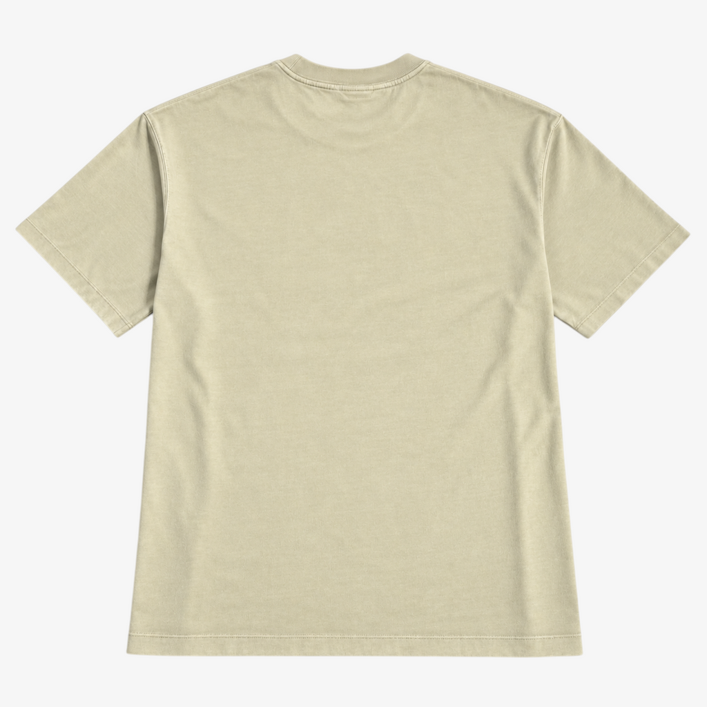 STF Nothing to Prove T-shirt in washed cream — back flatlay