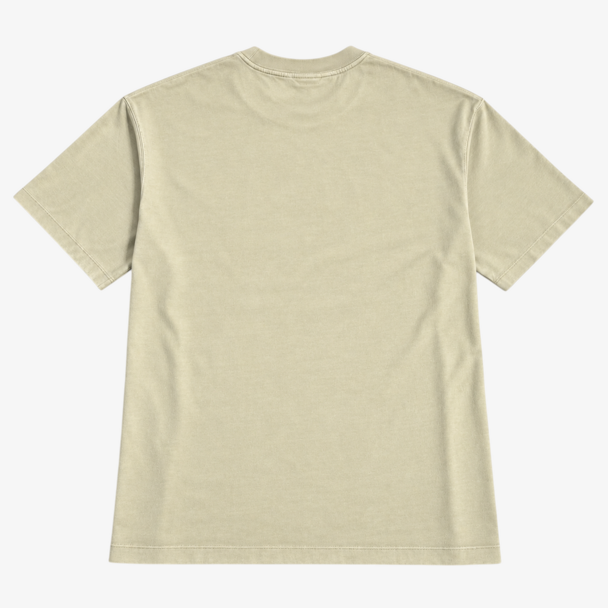 STF Nothing to Prove T-shirt in washed cream — back flatlay