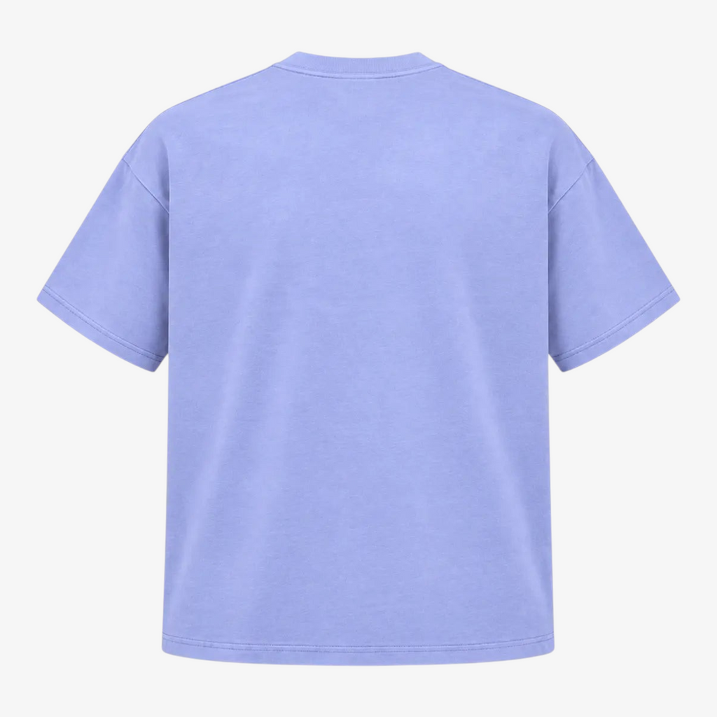STF tonal embroidered T-shirt in lavender, back view
